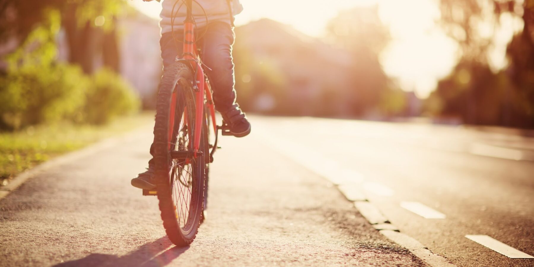 Bicycle Accident Lawyers in Twin Falls near me