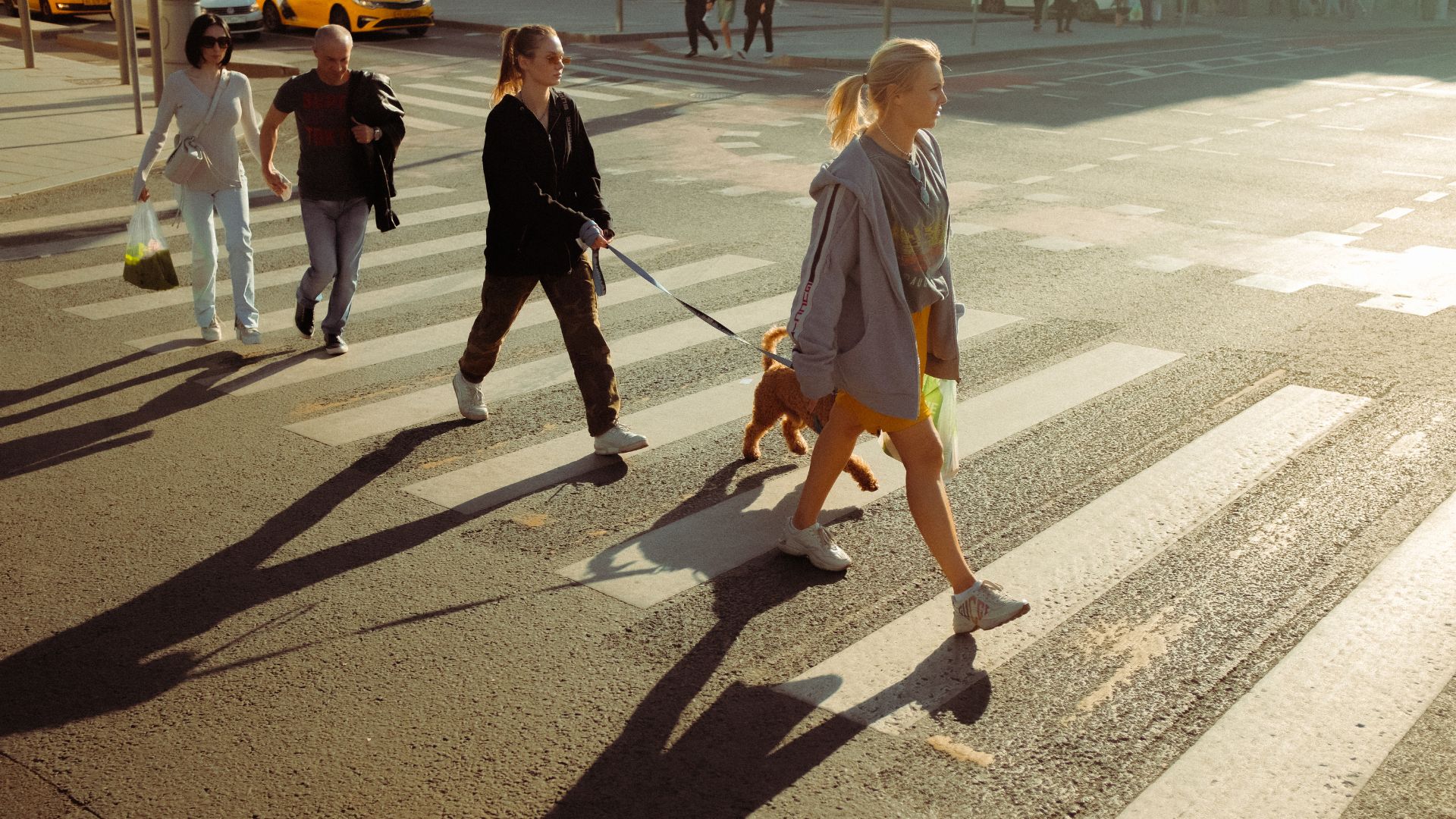 Compensation Available After a Pedestrian Accident in Pocatello image