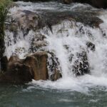 Idaho Falls Personal Injury Attorneys near me