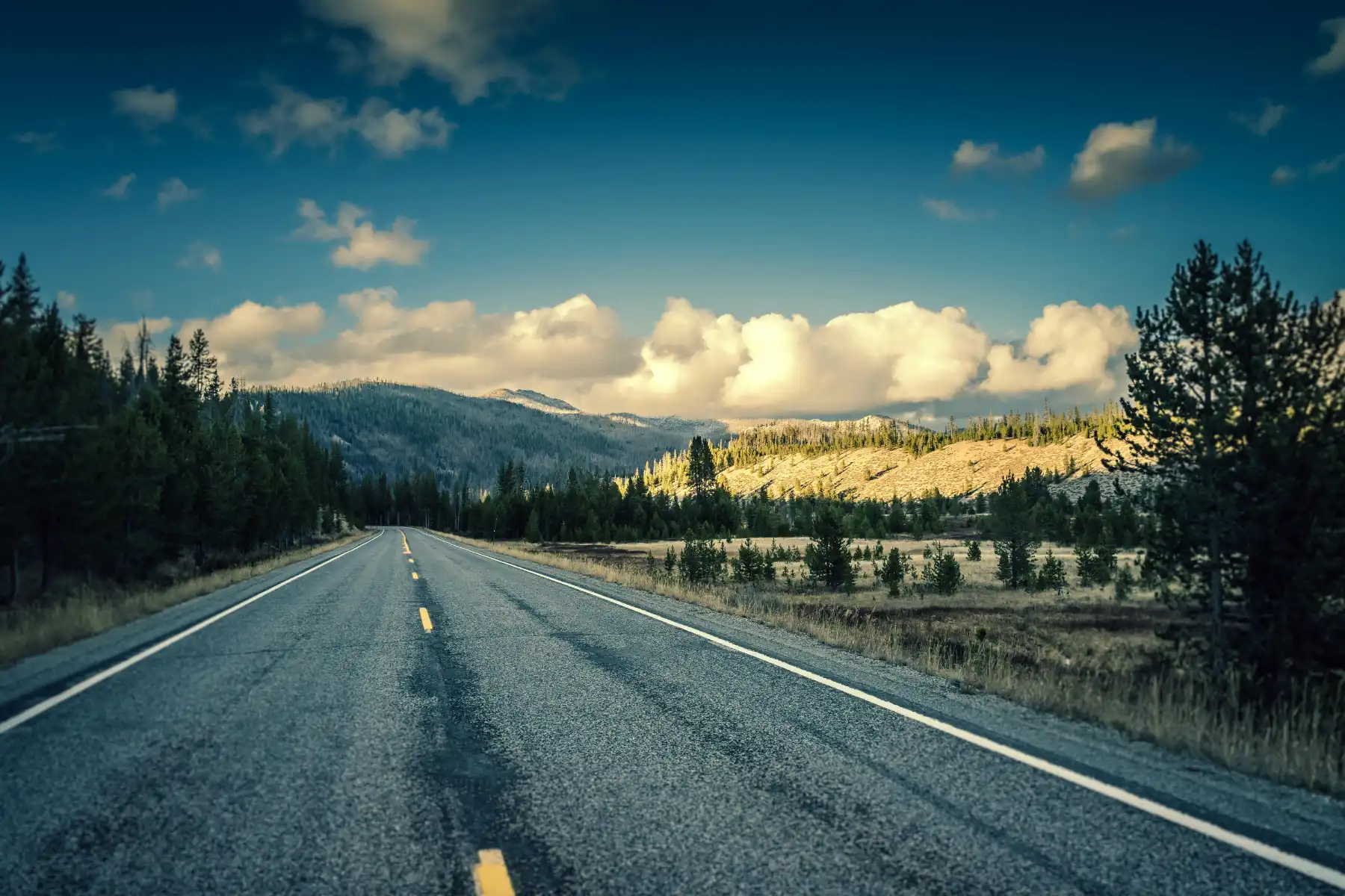empty highway