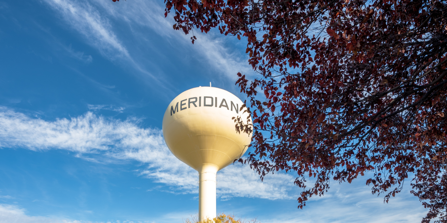 Meridian Man Dies in Fatal Car Accident Involving Light Pole