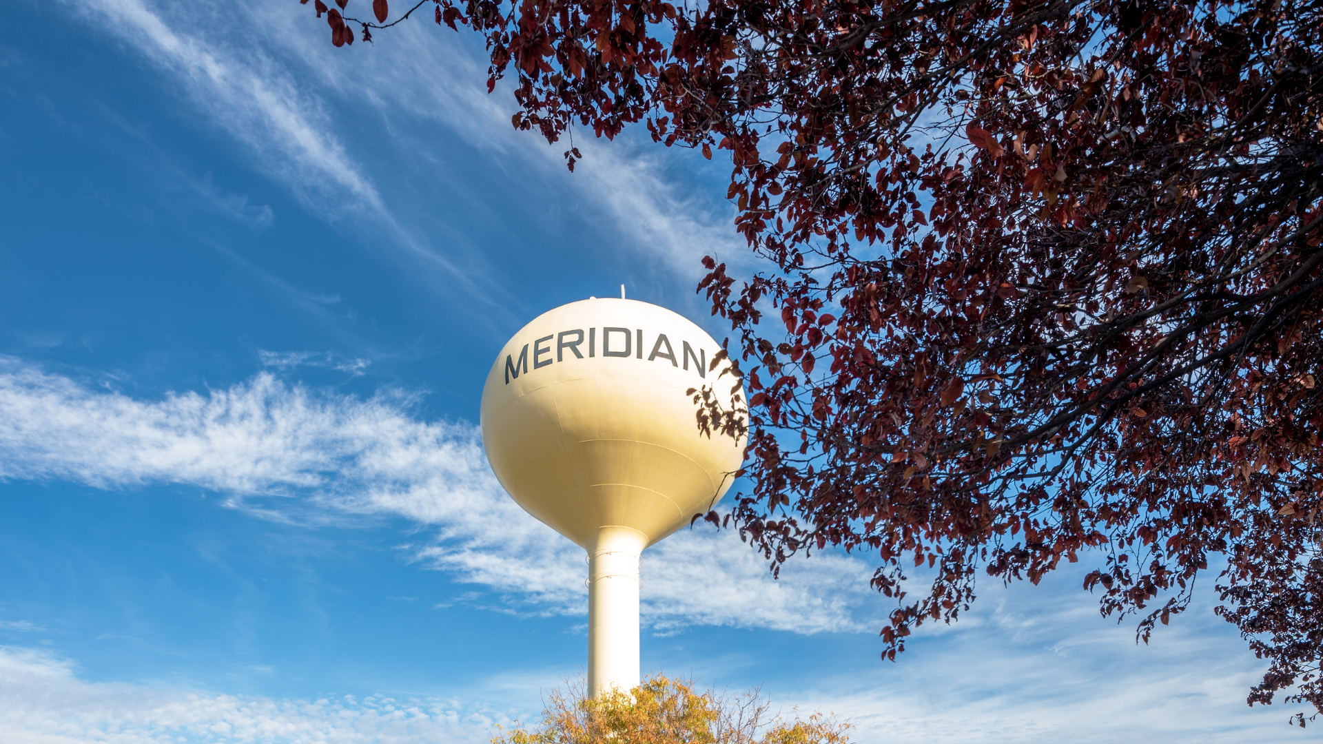 Meridian Man Dies in Fatal Car Accident Involving Light Pole